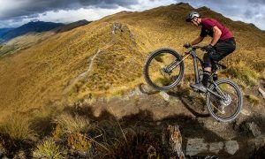 Specialized Turbo Levo SL (3)