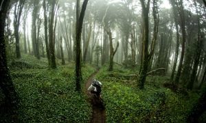 Portugal MTB Trip