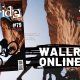 Revista Wallride Magazine 79